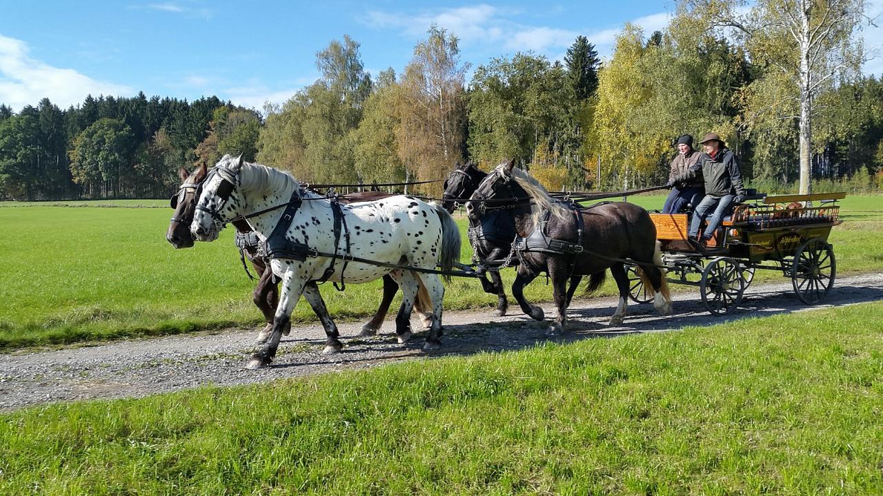 Hotel Alpenhof Bad Wörishofen Екстериор снимка