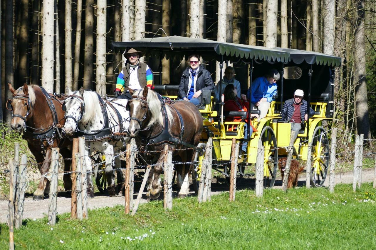 Hotel Alpenhof Bad Wörishofen Екстериор снимка