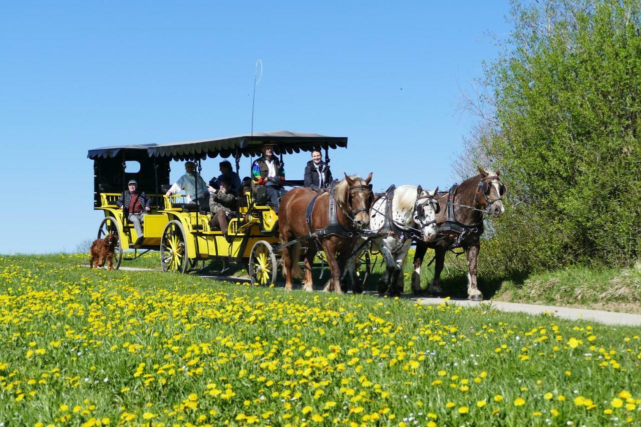 Hotel Alpenhof Bad Wörishofen Екстериор снимка