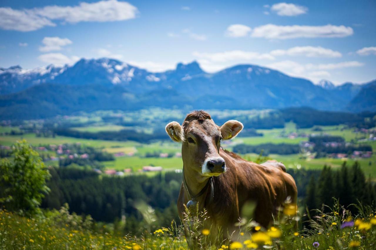 Hotel Alpenhof Bad Wörishofen Екстериор снимка
